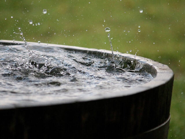 rain is falling in a wooden barrel full of water in the garden