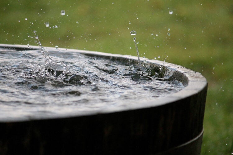 rain is falling in a wooden barrel full of water in the garden